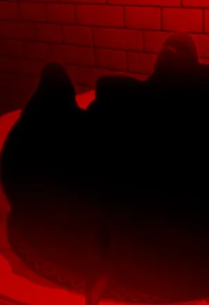 Amy rose Was Planning to Record a video  Sonic  rejecting her but it want  wrong