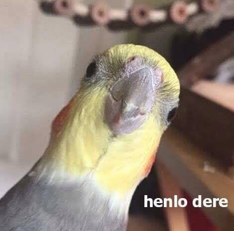 POV! Her Saving Grace image number 1