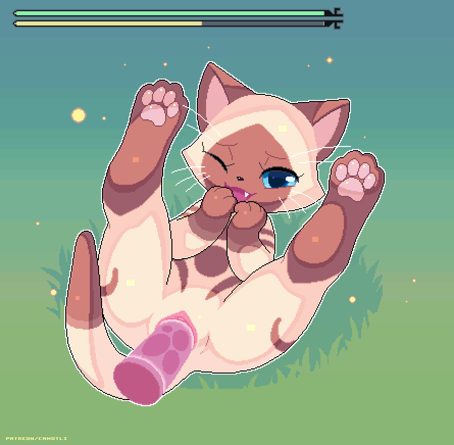 Camotli?s Pixel Art image number 1