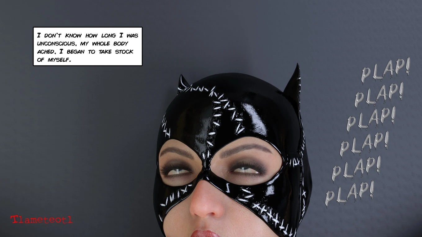 The Disastrcus Misadventures Of Catwoman image number 9