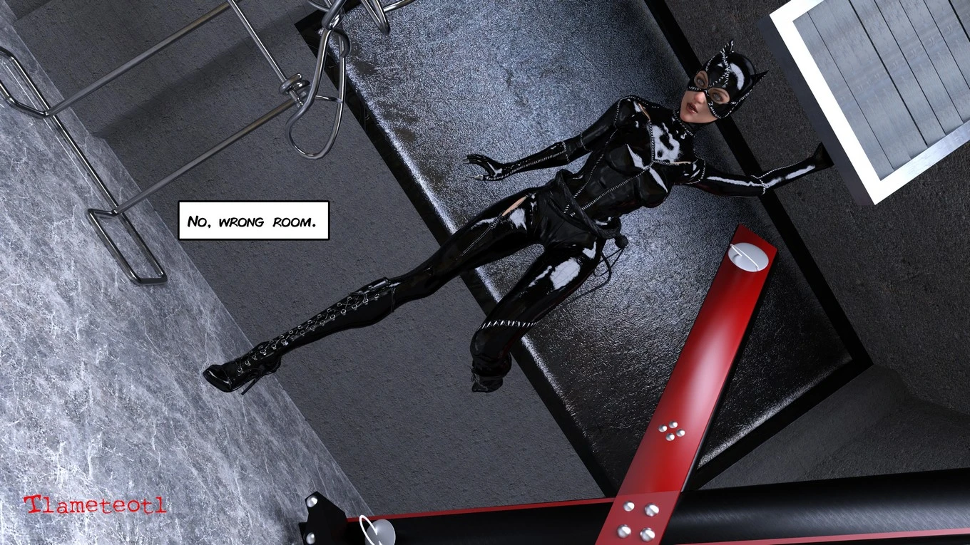 The Disastrcus Misadventures Of Catwoman image number 4