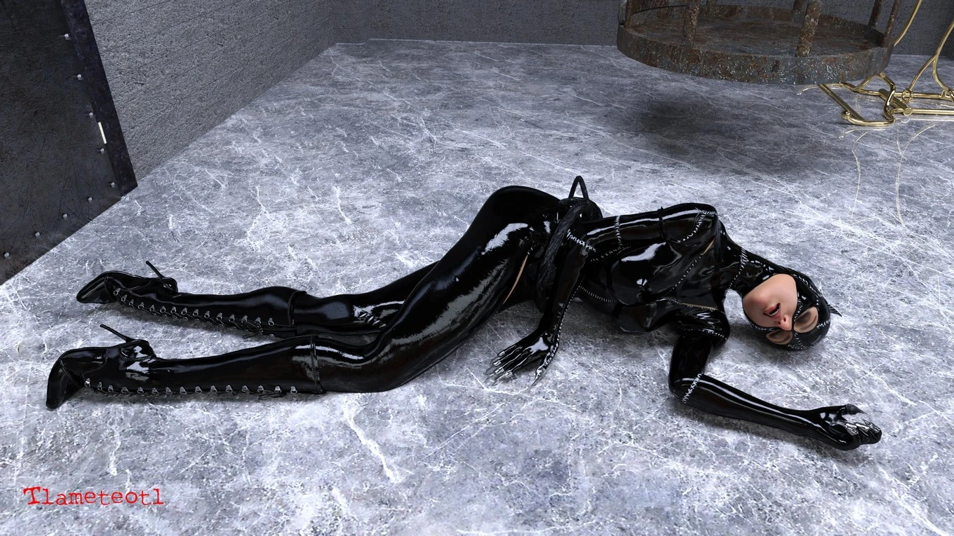 The Disastrcus Misadventures Of Catwoman image number 8