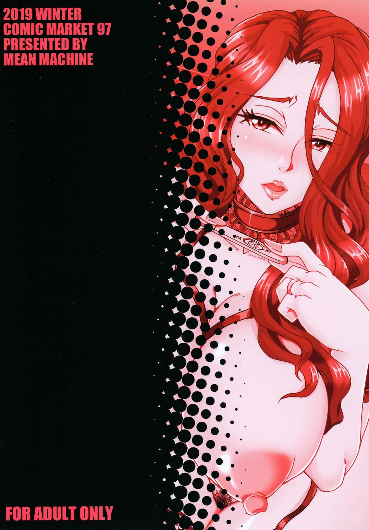 Hitozuma Asahina Miyo   Himitsu no Ninkatsu Nisshi image number 29