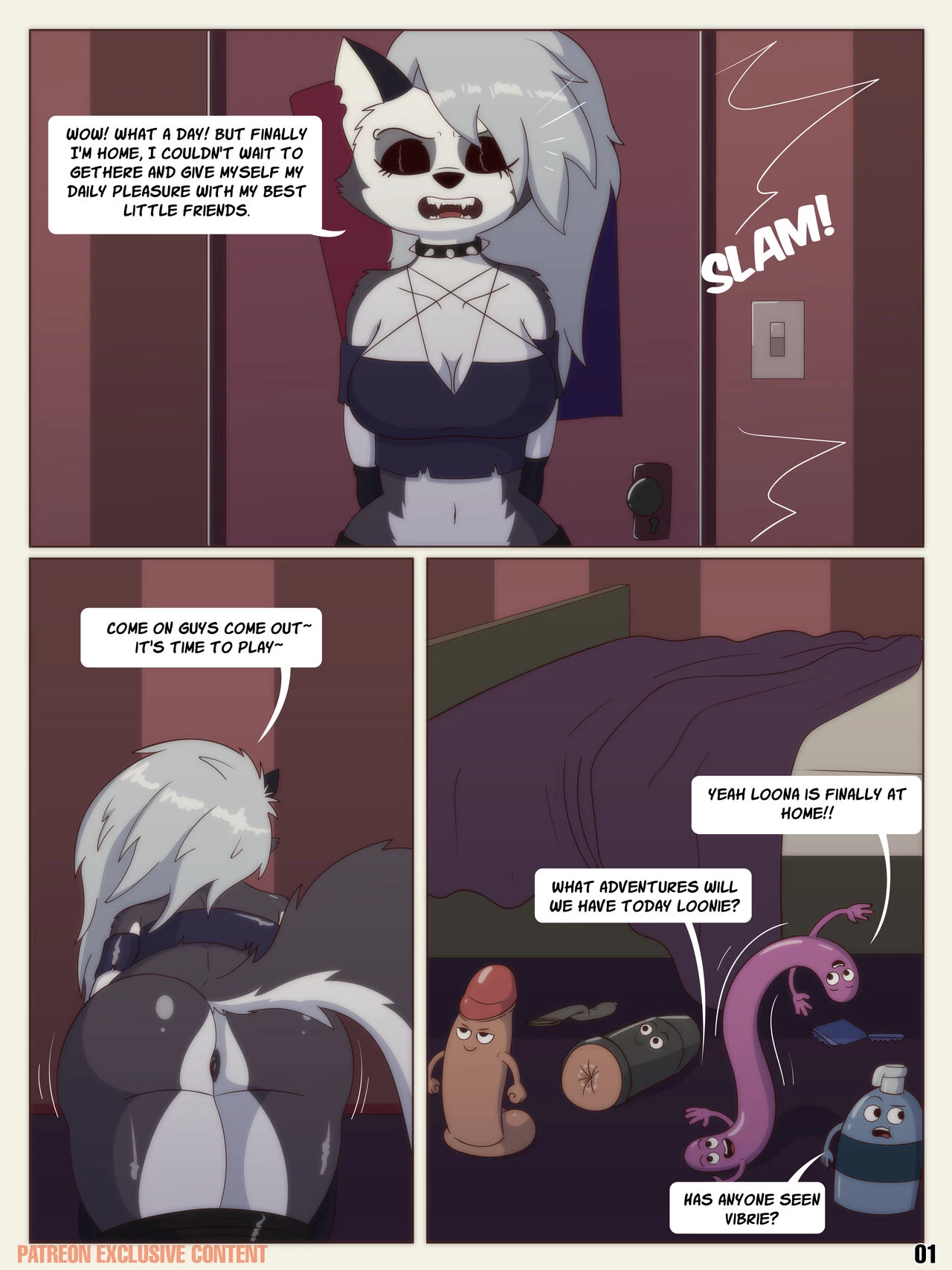 The adventures of Loona and The Ds