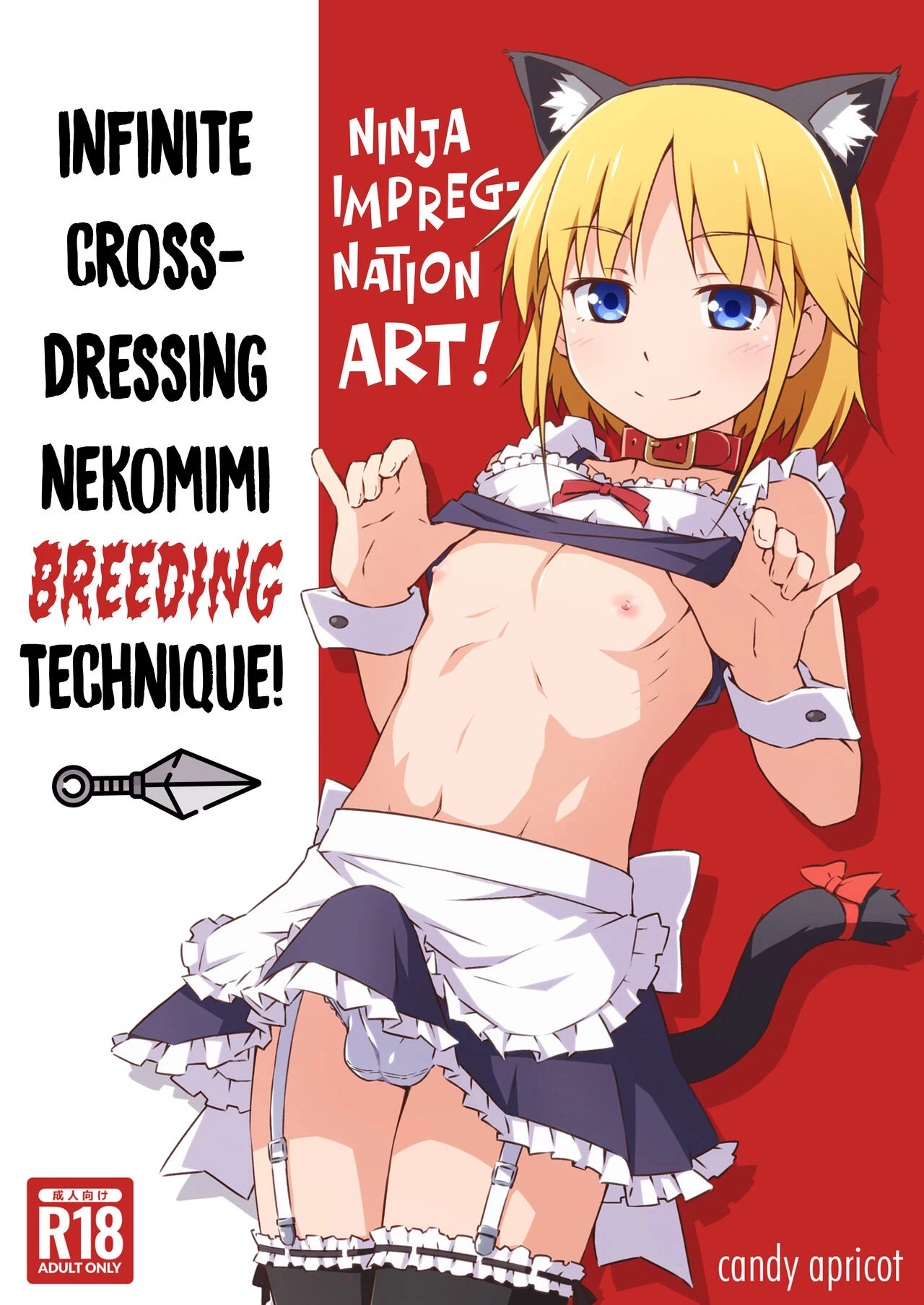 Ninja Impregnation Art: Infinite Crossdressing Nekomimi Breeding Technique!   Ninpou! Josou Nekomimi Maid Mugen Tanetsuke no Jutsu!!