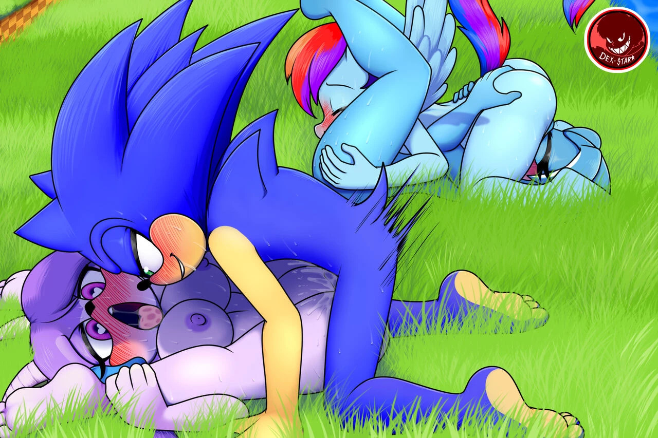 Sonic Orgy image number 4