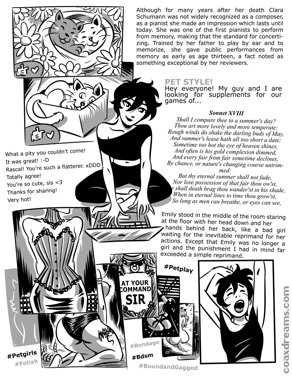 Another Pets Story image number 5