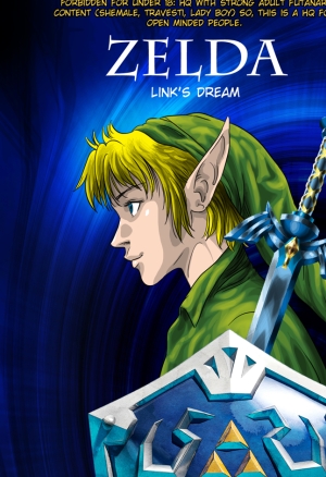 Legend of Zelda Link's Dream