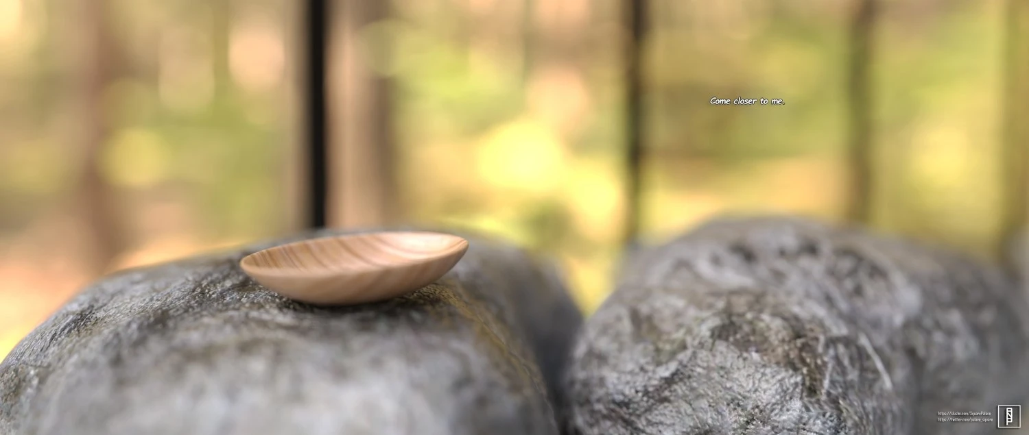 House in the Woods image number 26