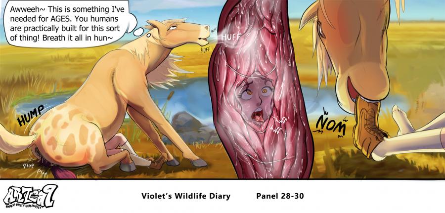 Violets Wildlife Diary image number 11