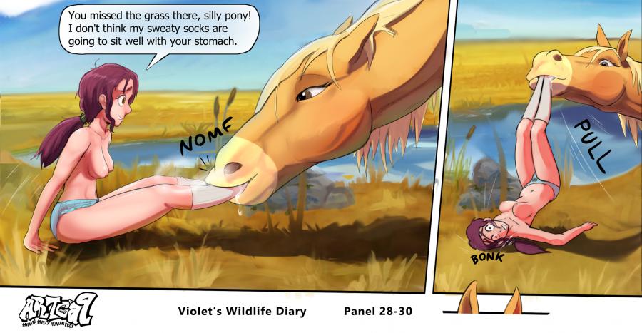 Violets Wildlife Diary image number 14
