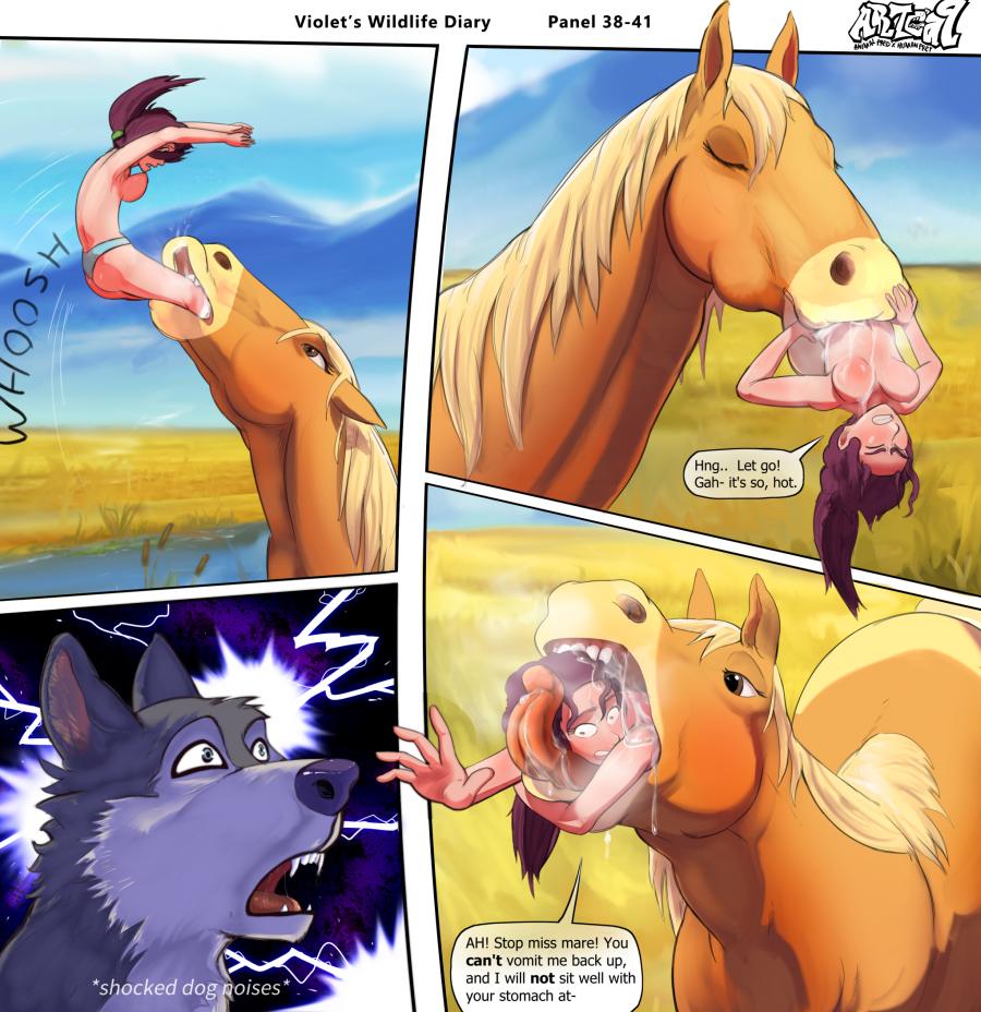 Violets Wildlife Diary image number 15