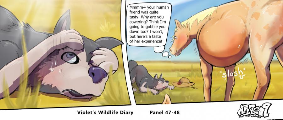 Violets Wildlife Diary image number 18