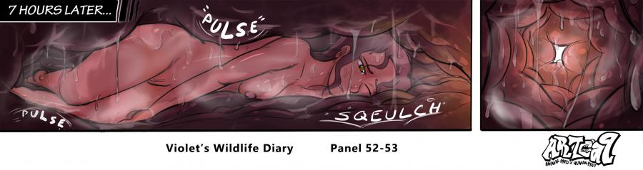 Violets Wildlife Diary image number 21