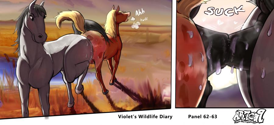 Violets Wildlife Diary image number 25