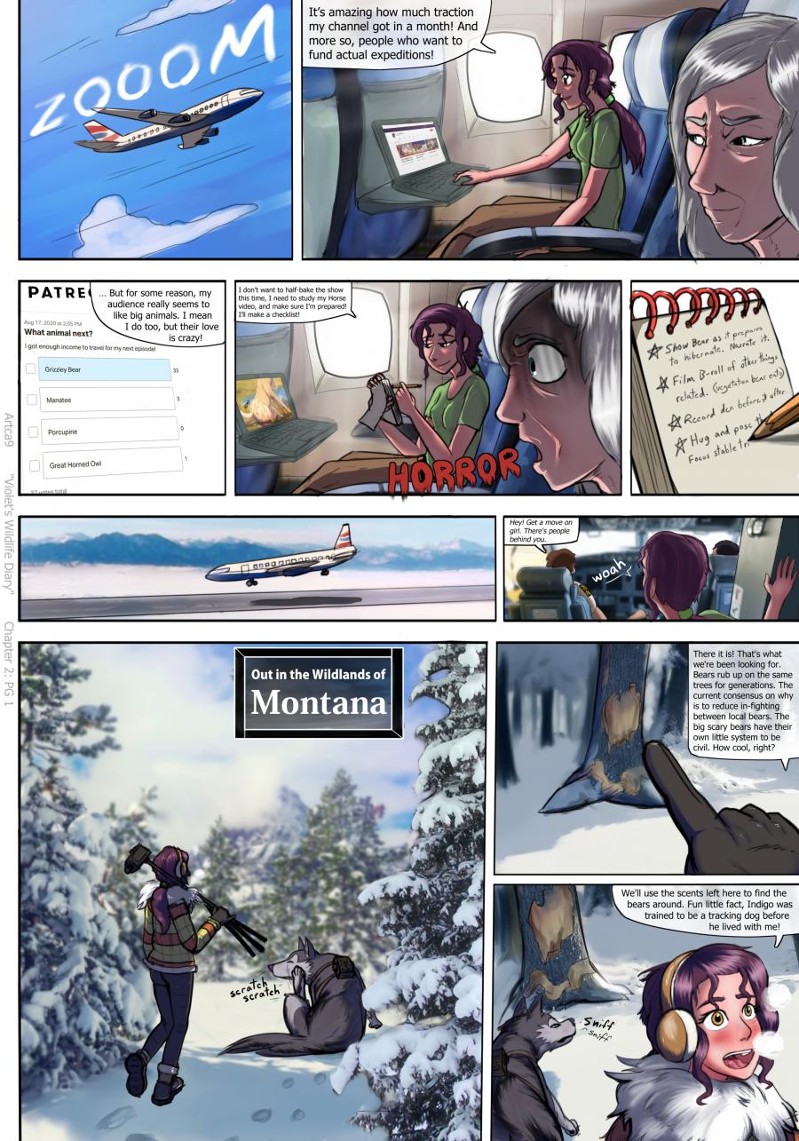 Violets Wildlife Diary image number 32