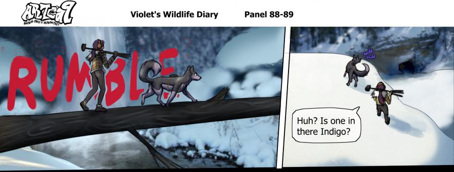 Violets Wildlife Diary image number 33
