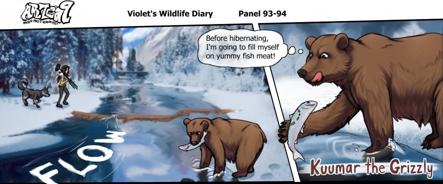 Violets Wildlife Diary image number 35