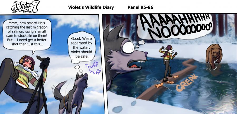 Violets Wildlife Diary image number 36