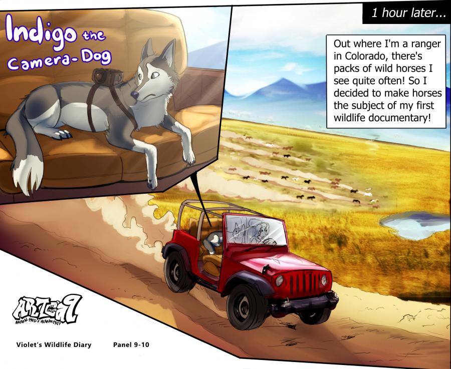 Violets Wildlife Diary image number 3