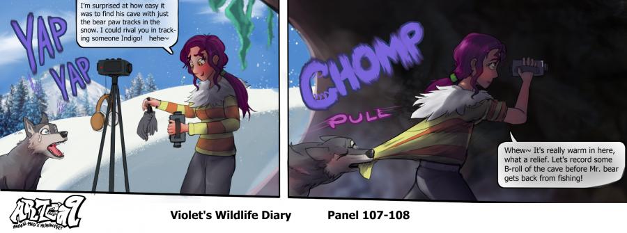 Violets Wildlife Diary image number 40