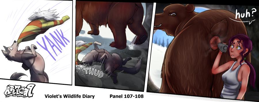 Violets Wildlife Diary image number 41