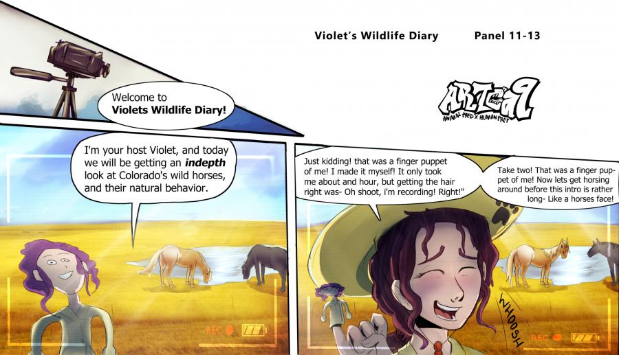 Violets Wildlife Diary image number 4