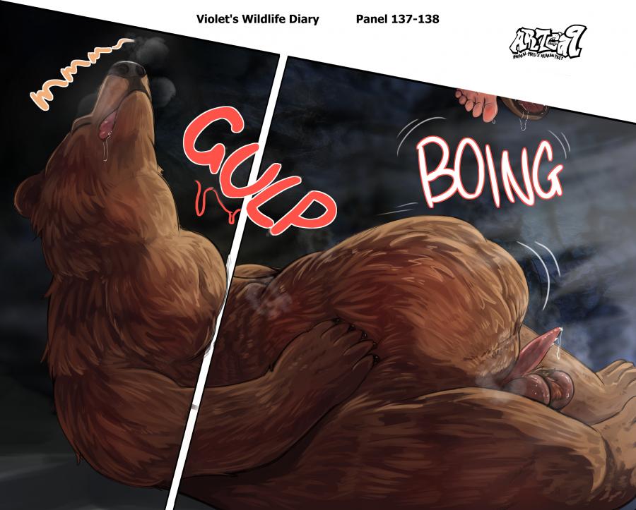 Violets Wildlife Diary image number 51