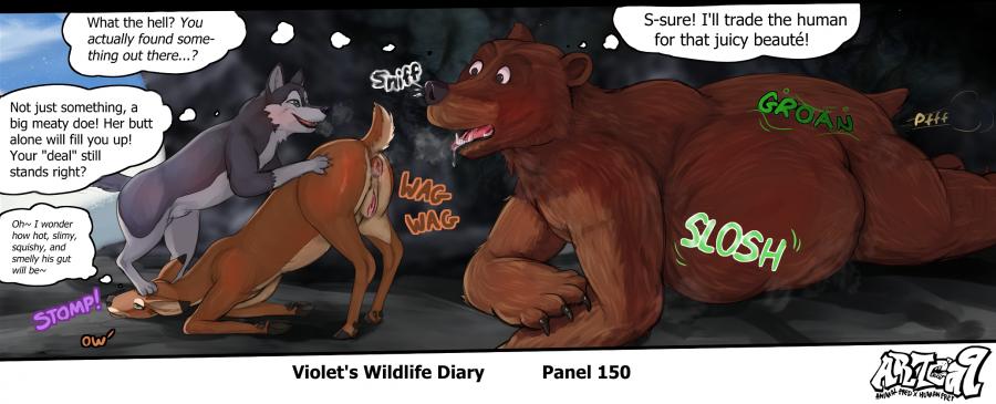 Violets Wildlife Diary image number 56