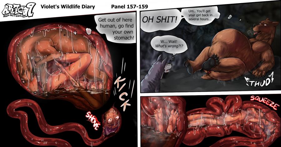 Violets Wildlife Diary image number 60