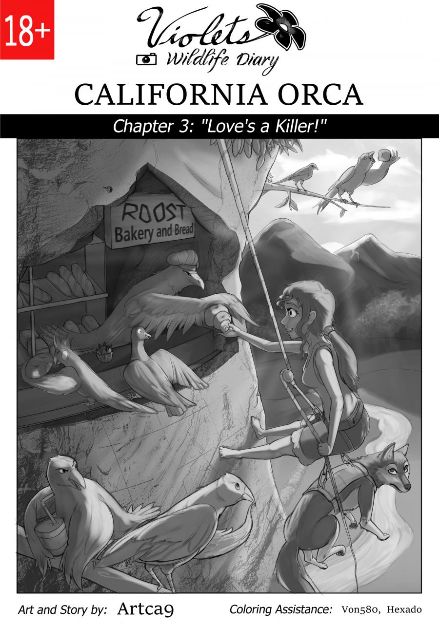 Violets Wildlife Diary image number 64