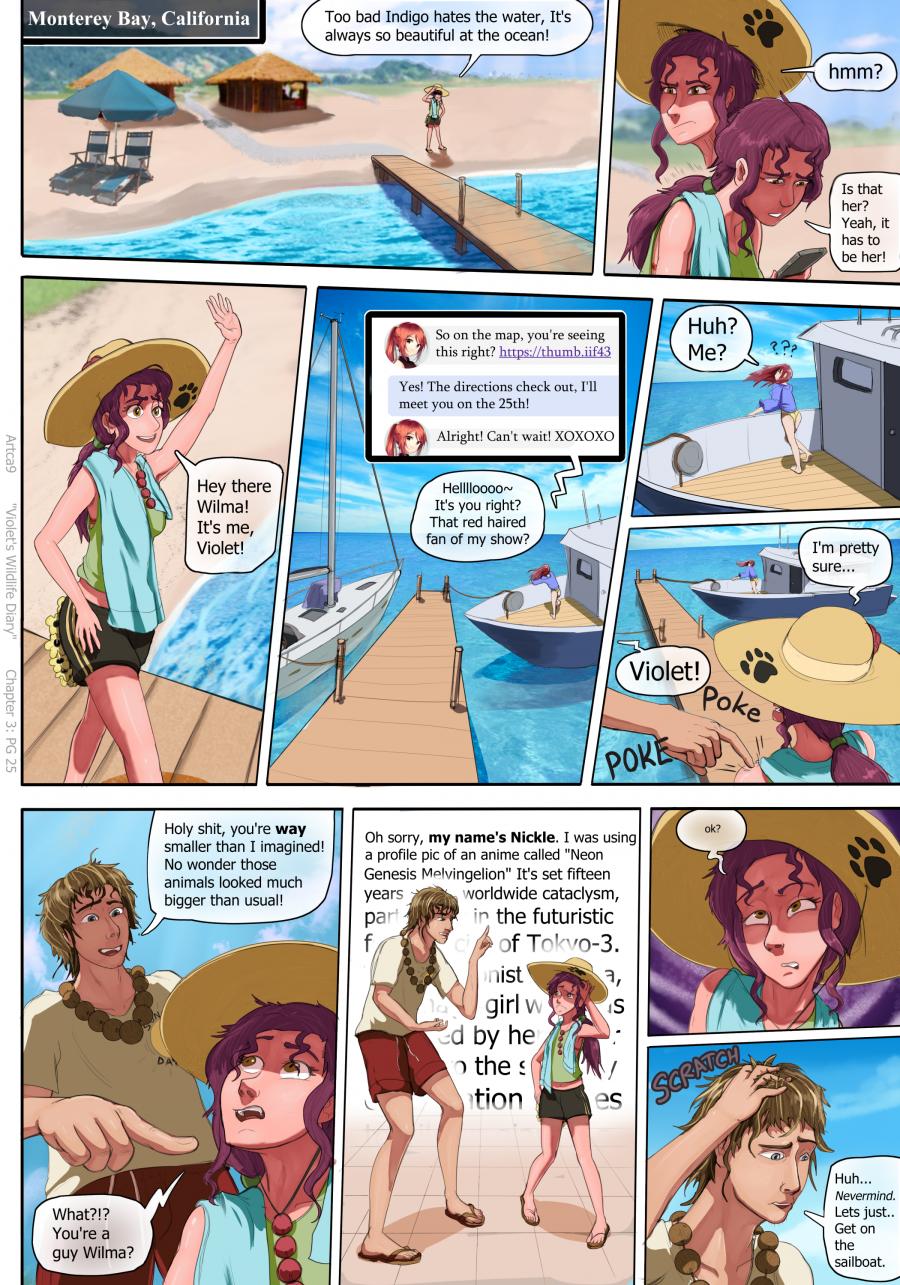 Violets Wildlife Diary image number 65