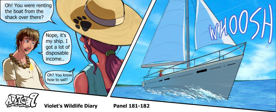 Violets Wildlife Diary image number 66