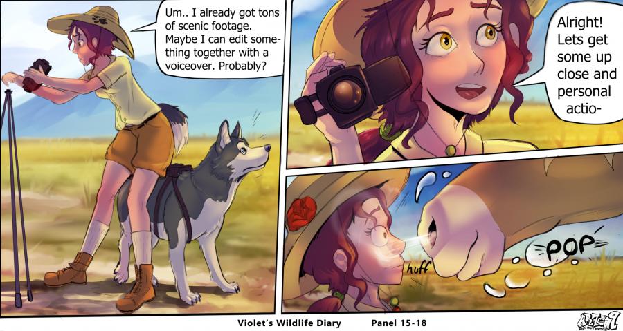 Violets Wildlife Diary image number 6