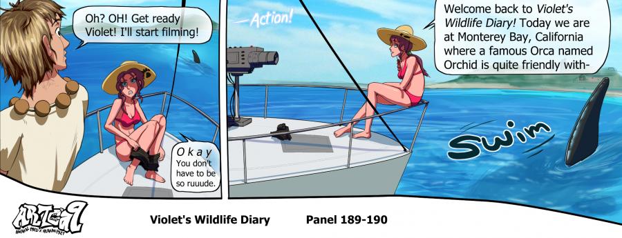 Violets Wildlife Diary image number 69