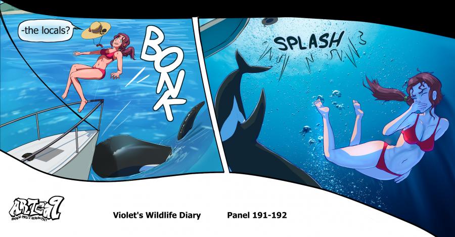 Violets Wildlife Diary image number 70