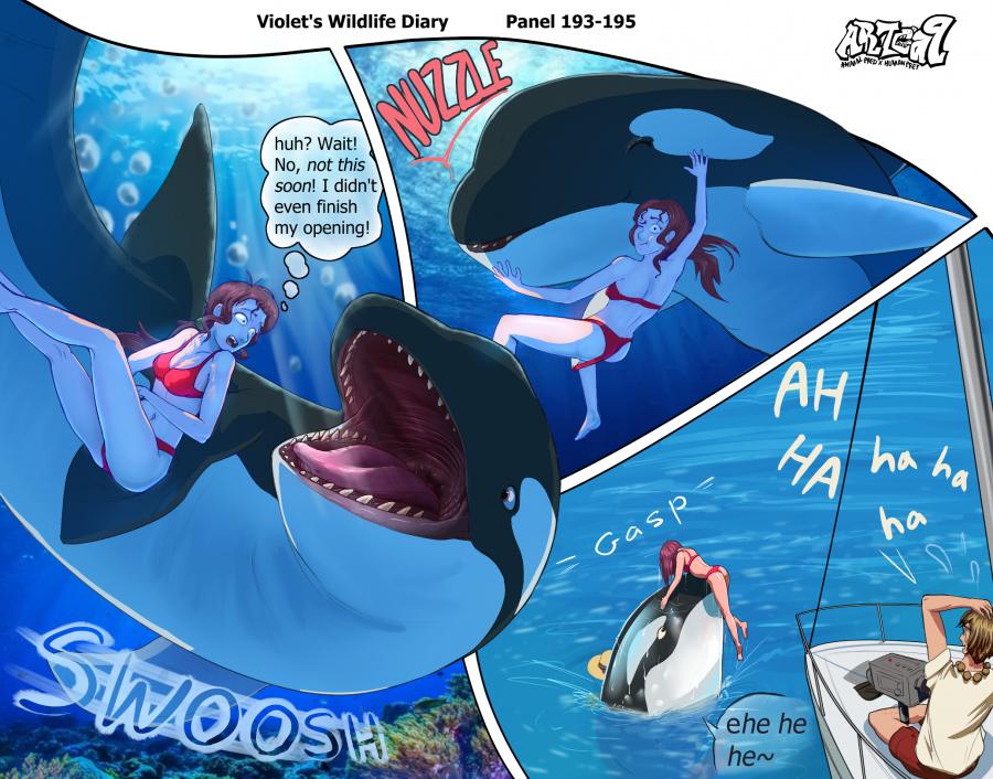 Violets Wildlife Diary image number 71