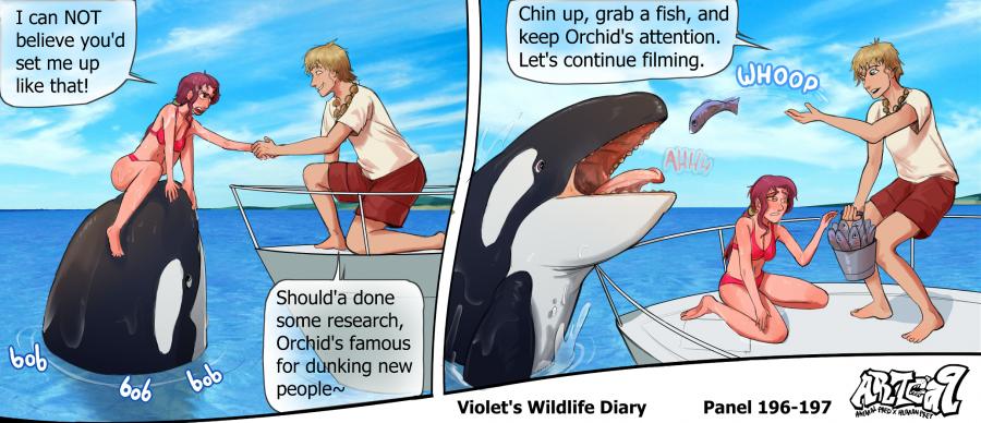 Violets Wildlife Diary image number 72