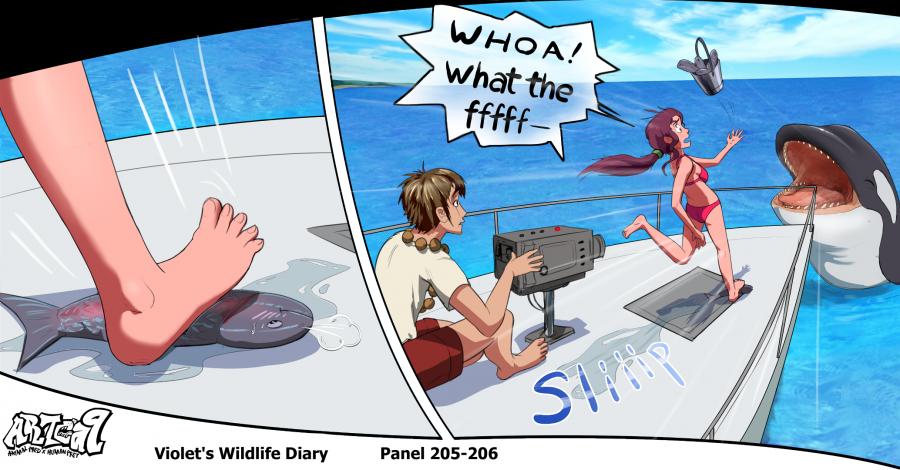 Violets Wildlife Diary image number 76