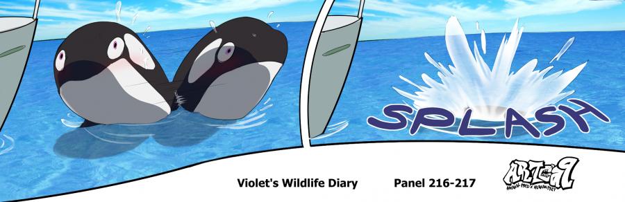 Violets Wildlife Diary image number 81