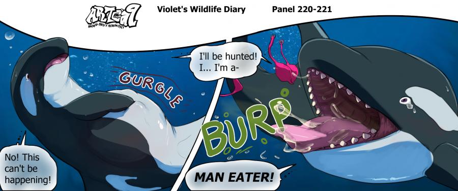 Violets Wildlife Diary image number 83
