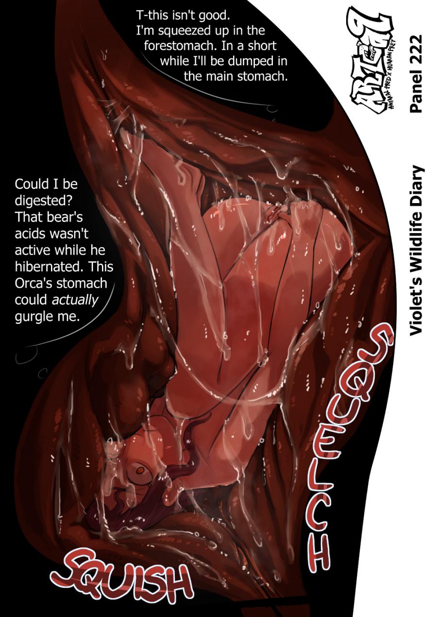 Violets Wildlife Diary image number 84