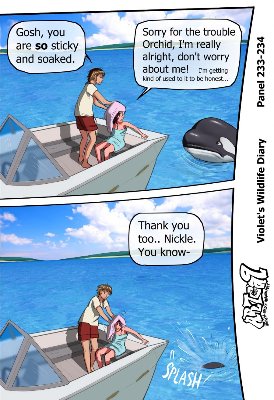 Violets Wildlife Diary image number 90