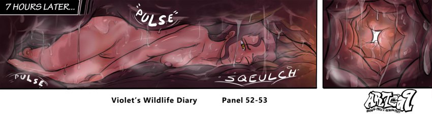 Violets Wildlife Diary (part 1) image number 8