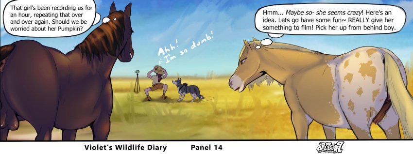 Violets Wildlife Diary (part 1) image number 1