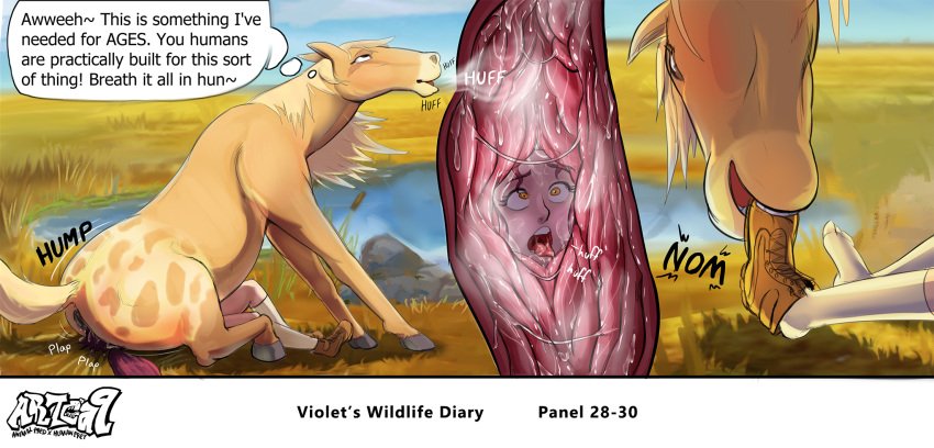 Violets Wildlife Diary (part 1) image number 5