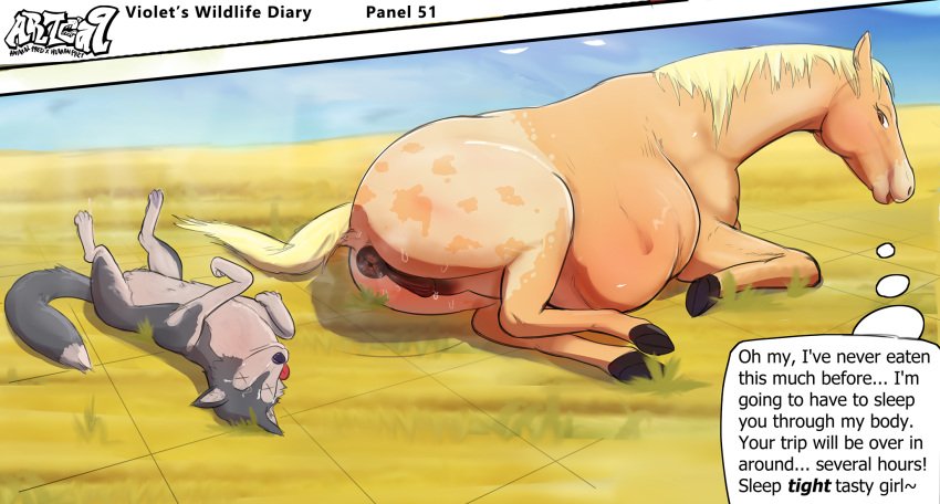 Violets Wildlife Diary (part 1) image number 7