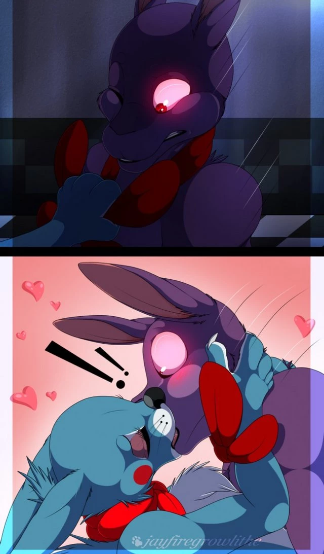 Bonnie and Toy Bonnie image number 15