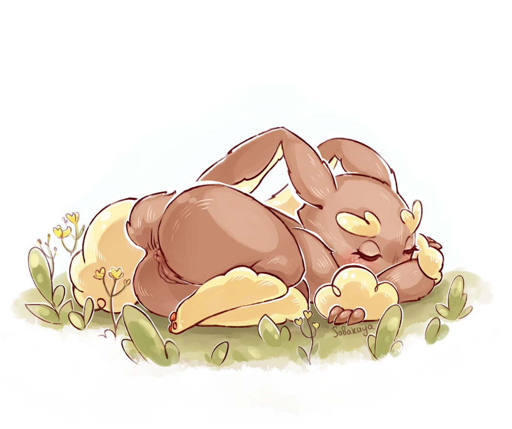 Lopunny Compilation porn image number 69