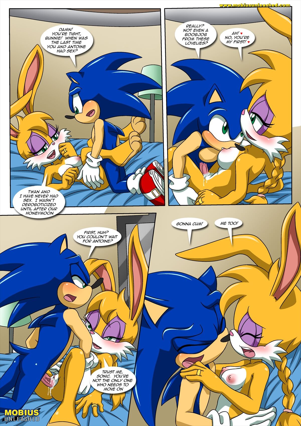 Palcomix - Sonic and Sally Break Up (Sonic the Hedgehog) image number 11